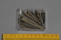 F 02376
<br/>
<br/>
<em></em>